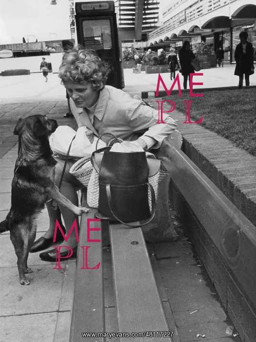: Woman on a bench looking at a dog : Woman on a bench looking at a dog