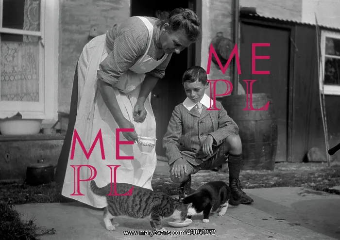 : Woman and boy with two cats : Woman and boy with two cats