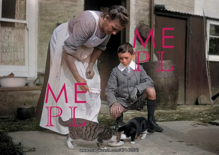 : Woman and boy with two cats : Woman and boy with two cats