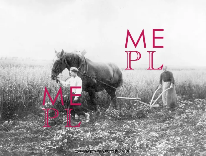 : Woman and boy at field work, 1917 : Woman and boy at field work, 1917
