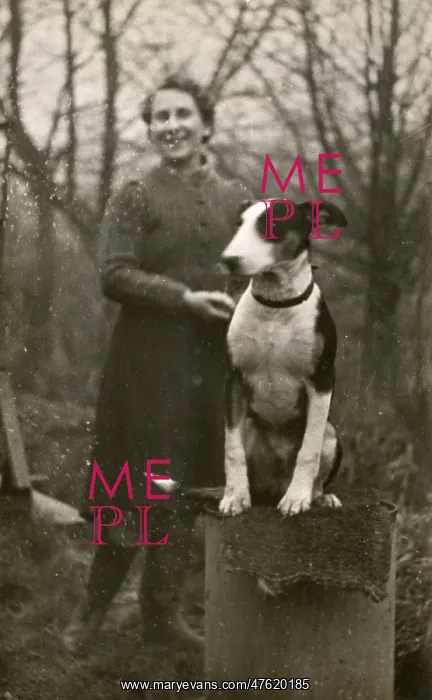  : Woman with Bull Terrier