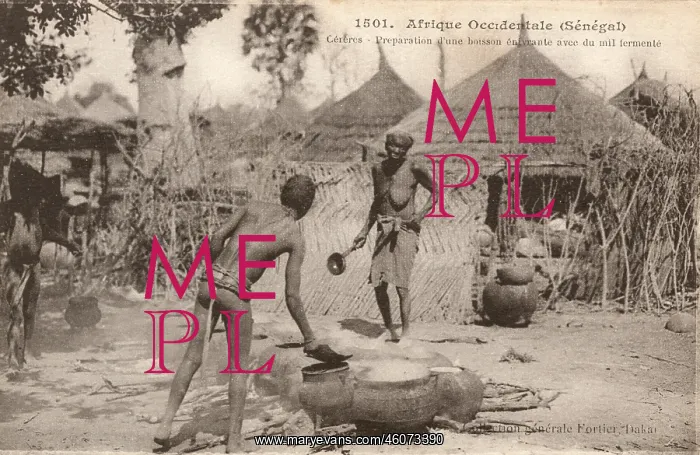 : A woman from Cameroon : A woman from Cameroon