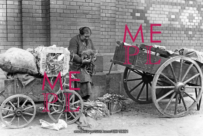 : Woman between two carts, 1926 : Woman between two carts, 1926