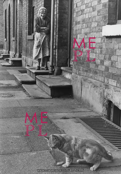 : Woman and cat in a street : Woman and cat in a street