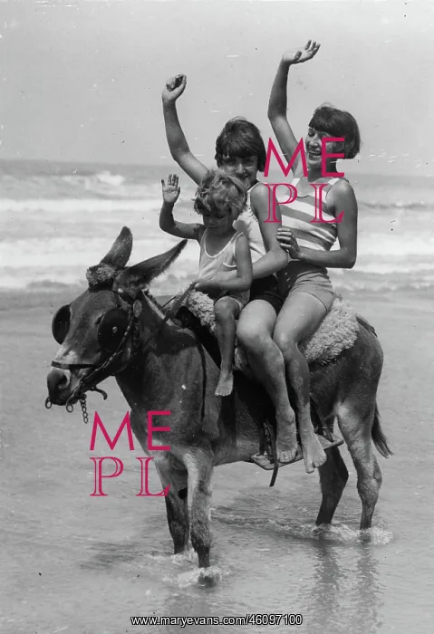 : A woman and two children riding on : A woman and two children riding on