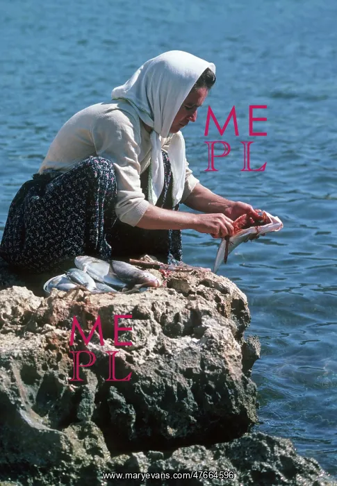 : Woman cleaning fish, Turkey : Woman cleaning fish, Turkey