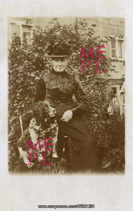  : Woman with Cocker Spaniel