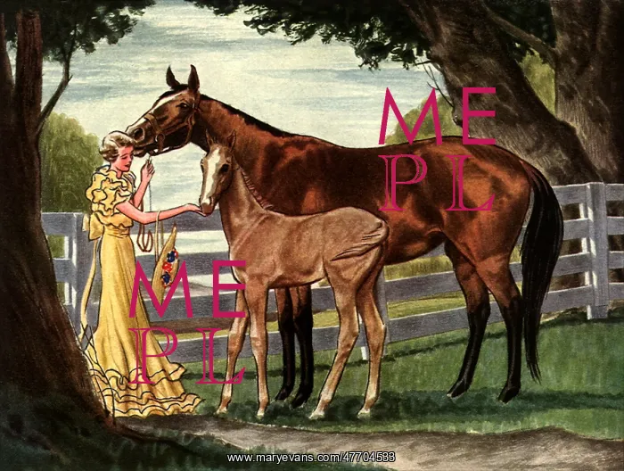  : Woman, Colt, Dam