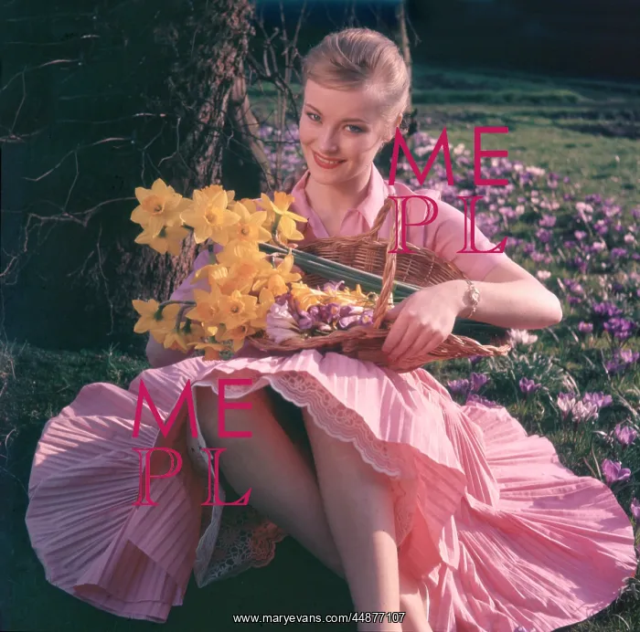 : WOMAN WITH DAFFODILS : WOMAN WITH DAFFODILS