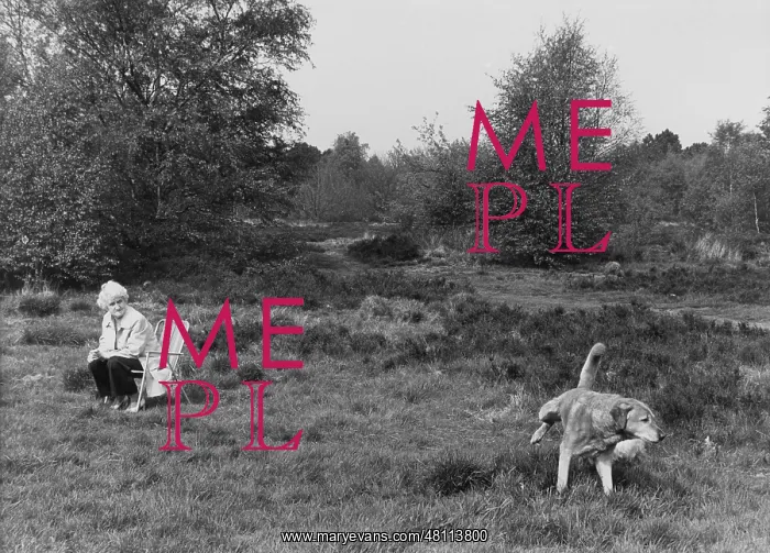 : Woman and dog in a field : Woman and dog in a field