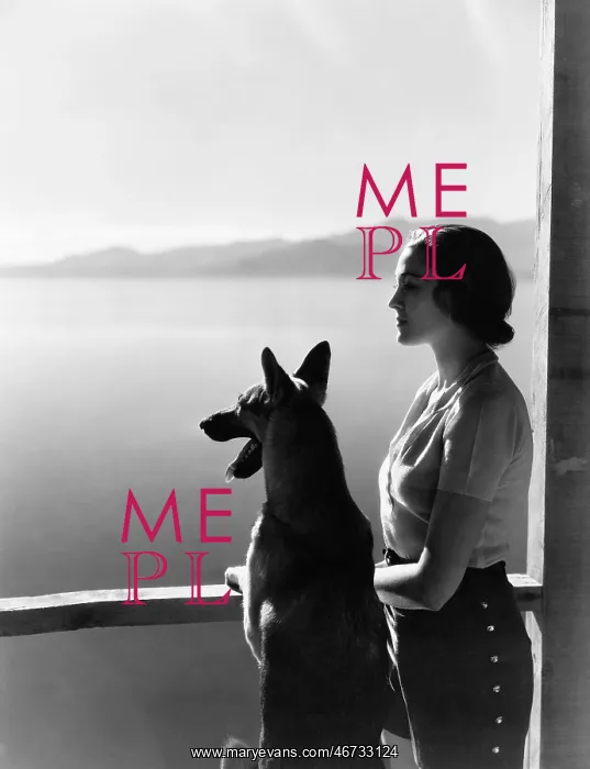 : Woman and dog looking out over water : Woman and dog looking out over water