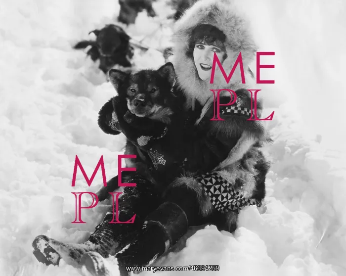 : Woman and dog playing in snow : Woman and dog playing in snow