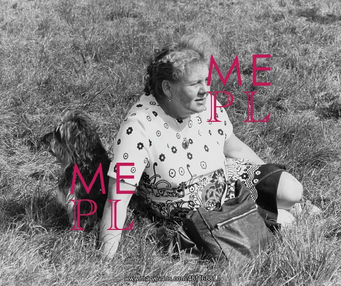 : Woman and dog sitting on grass : Woman and dog sitting on grass