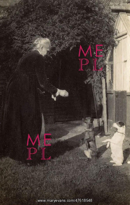 : Woman and two dogs in garden : Woman and two dogs in garden