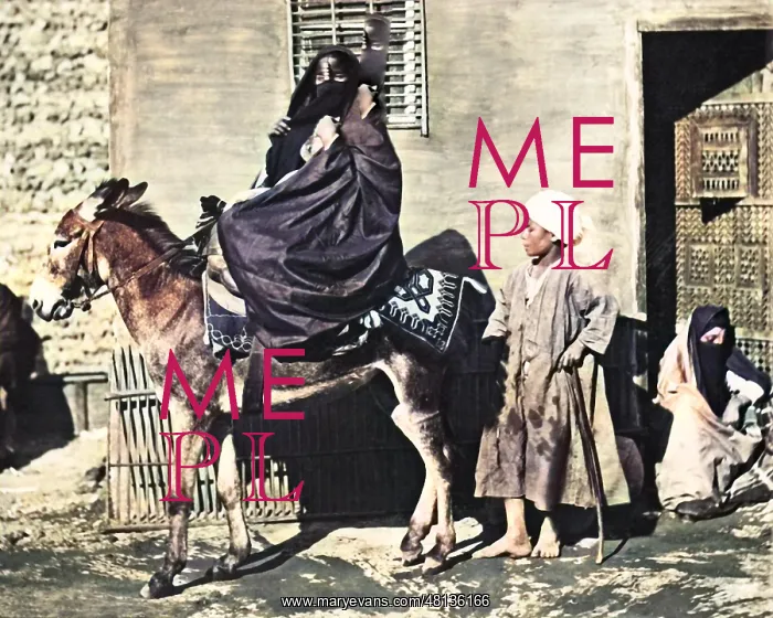 : Woman on a donkey, Egypt : Woman on a donkey, Egypt