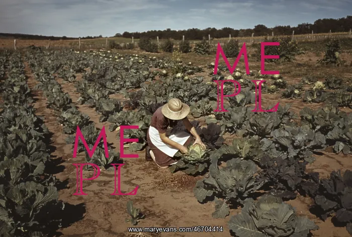 : Woman - Farmer - Occupations - Crops : Woman - Farmer - Occupations - Crops