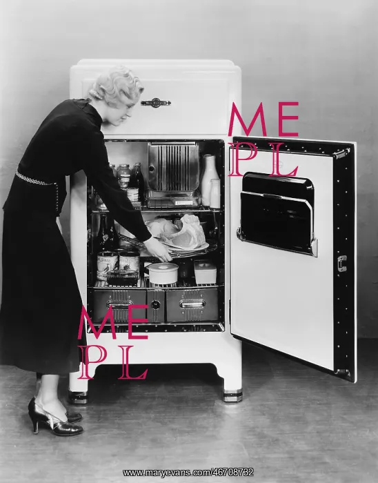  : Woman at the fridge