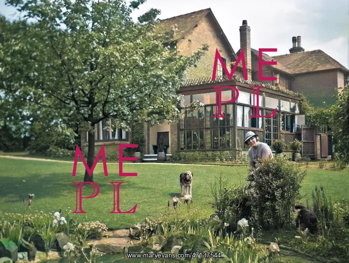 : Woman gardening : Woman gardening