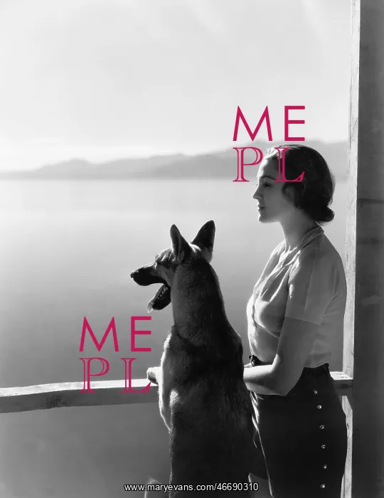 : Woman and her German Shepherd overlooking a lake : Woman and her German Shepherd overlooking a lake