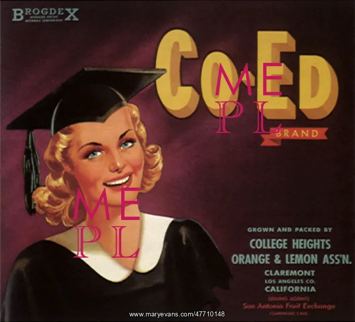  : Woman Graduate