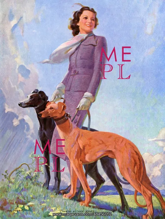 : Woman with greyhound dogs in the Mountains : Woman with greyhound dogs in the Mountains