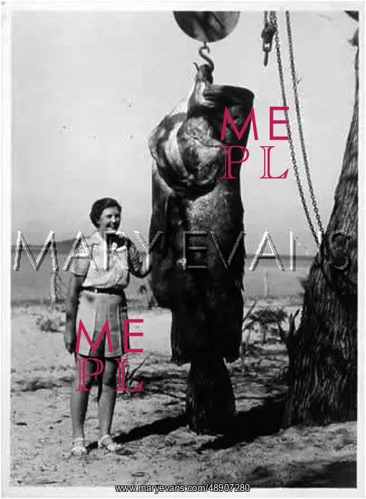 : WOMAN & GROPER FISH : WOMAN & GROPER FISH