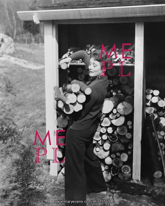 : Woman hauling firewood : Woman hauling firewood