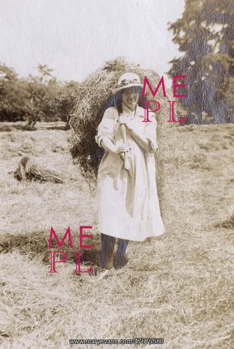 : Woman helping with the harvest, WW1 : Woman helping with the harvest, WW1