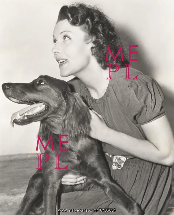  : A woman holding her Irish setter
