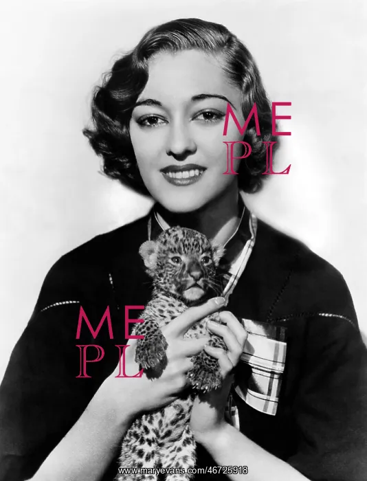 : Woman holding tiny leopard cub : Woman holding tiny leopard cub