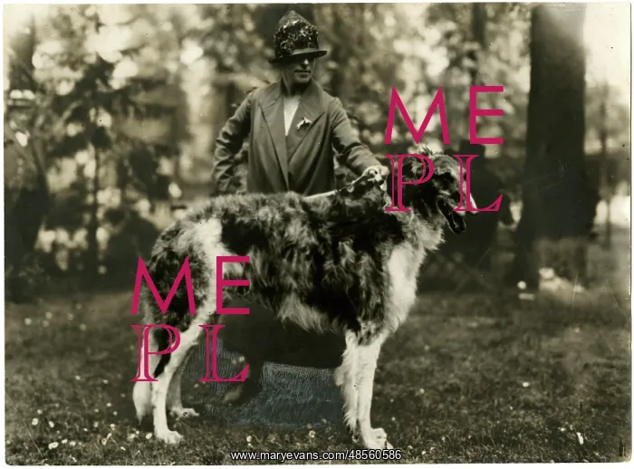  : Woman with an Irish Wolfhound