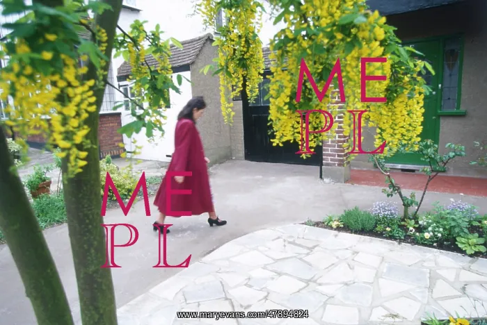 : WOMAN UNDER LABURNUM : WOMAN UNDER LABURNUM