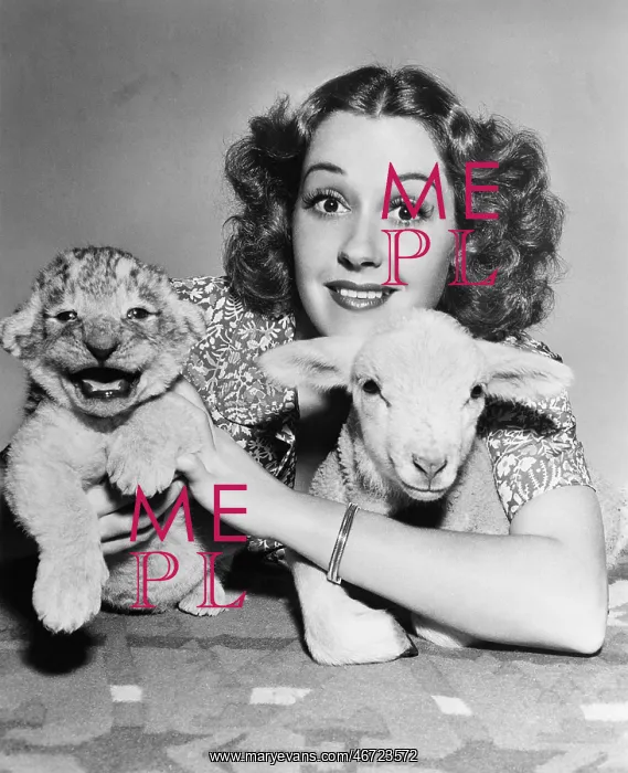 : Woman with lamb and lion cub : Woman with lamb and lion cub