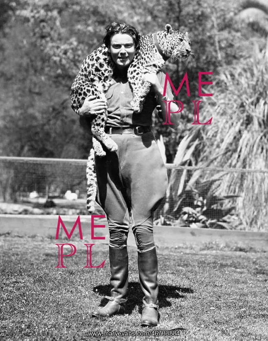 : Woman with a live leopard around her neck : Woman with a live leopard around her neck