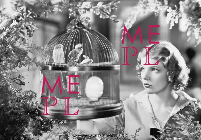 : Woman looking into a bird cage with birds : Woman looking into a bird cage with birds