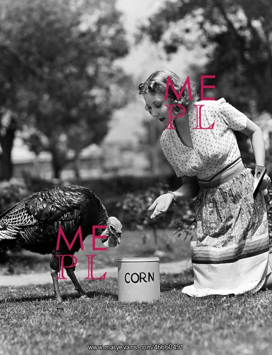 : Woman luring turkey to hatchet with corn : Woman luring turkey to hatchet with corn
