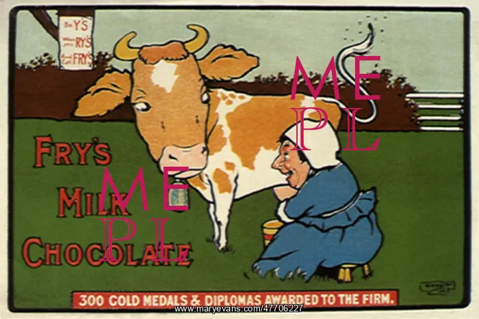  : Woman Milks Cow