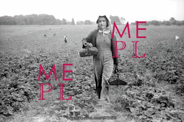 : Woman - occupations - farmer - migrant worker : Woman - occupations - farmer - migrant worker