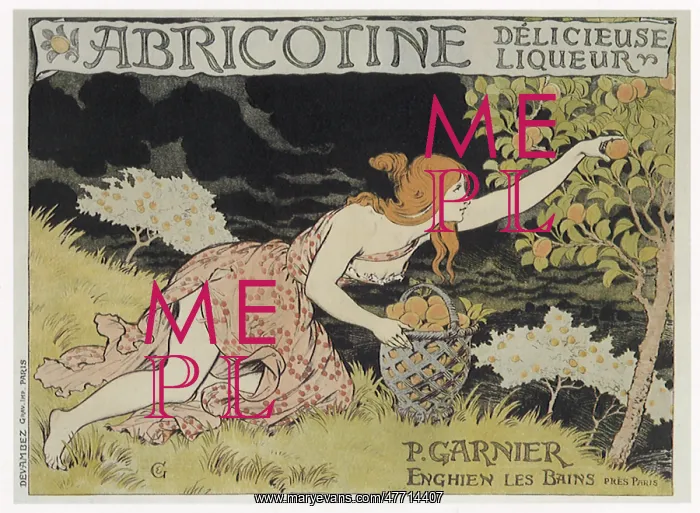  : Woman Picking Apricots