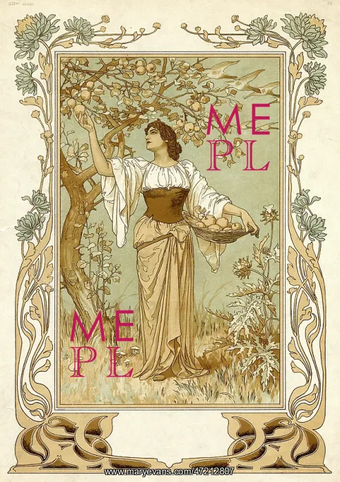  : Woman Picking Fruit