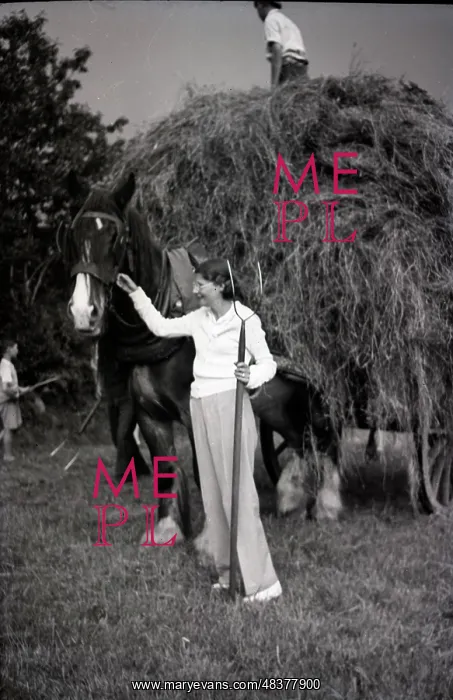  : Woman with pitchfork stroking a horse