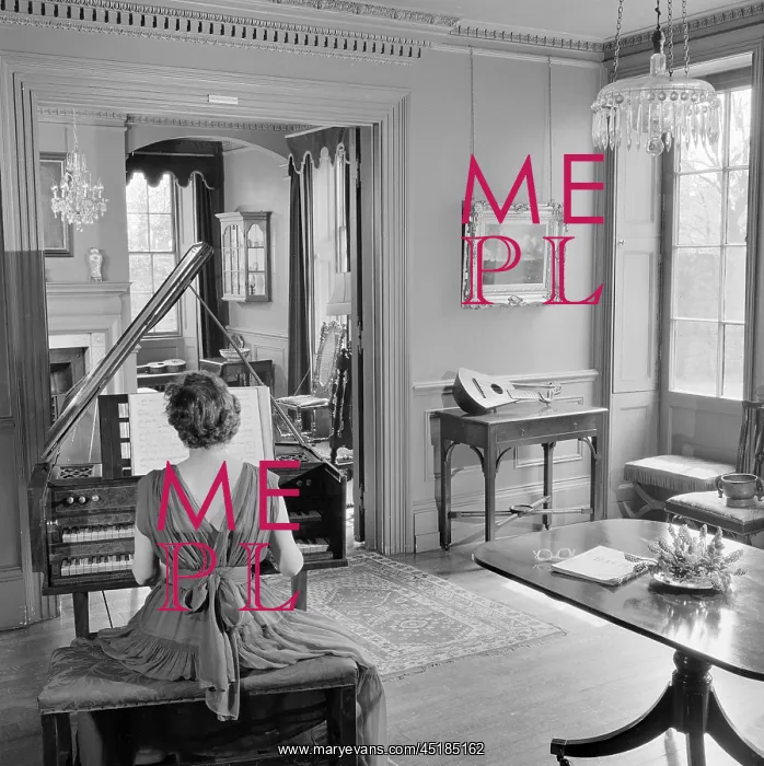 : Woman Playing The Harpsichord : Woman Playing The Harpsichord