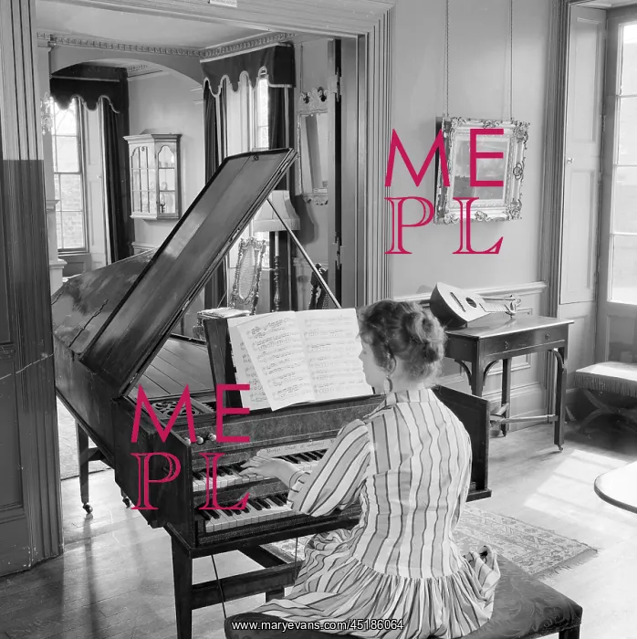 : Woman Playing A Harpsichord : Woman Playing A Harpsichord