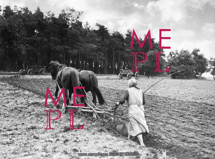 : Woman plowing, 1939 : Woman plowing, 1939