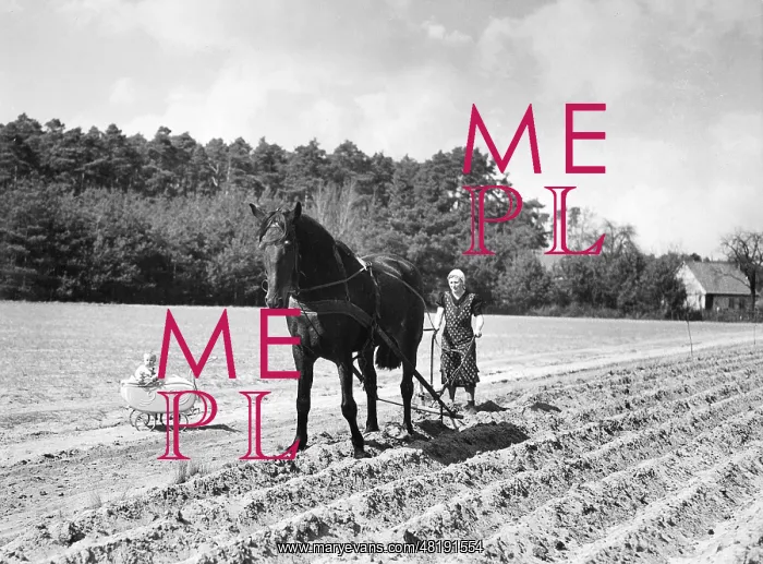  : Woman plowing, 1940