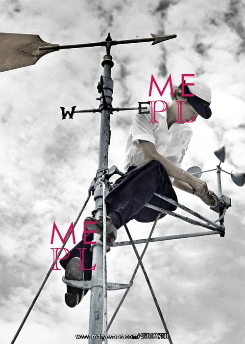  : Woman up a pole fixing a weathervane