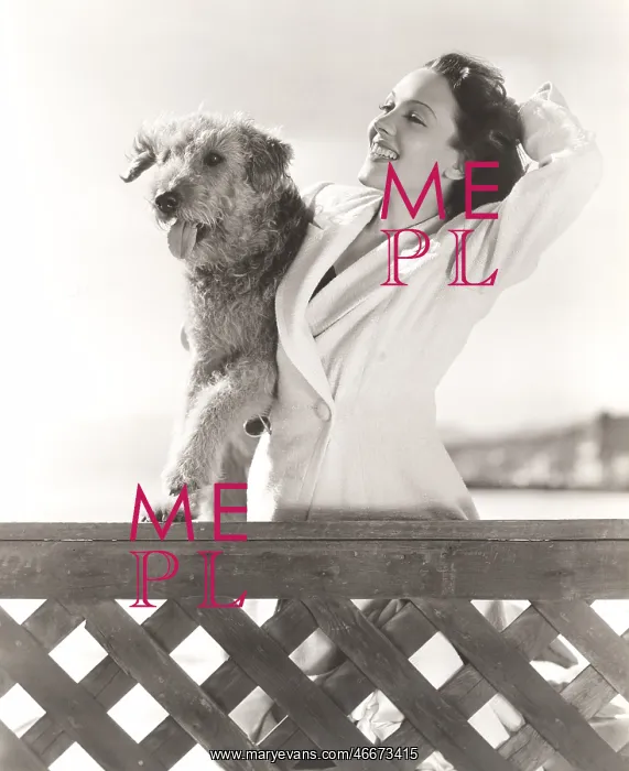  : Woman posing with her Airedale at the beach