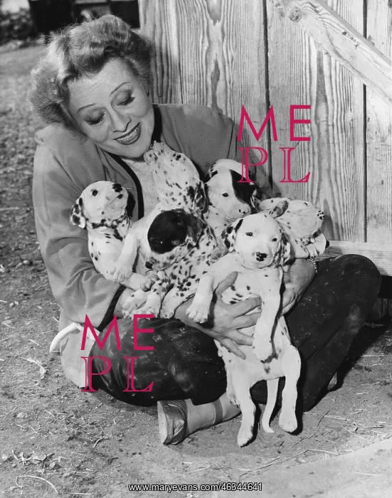 : Woman with puppies : Woman with puppies