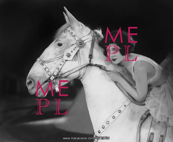 : Woman riding horse : Woman riding horse
