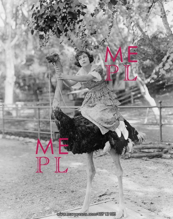 : Woman riding ostrich : Woman riding ostrich